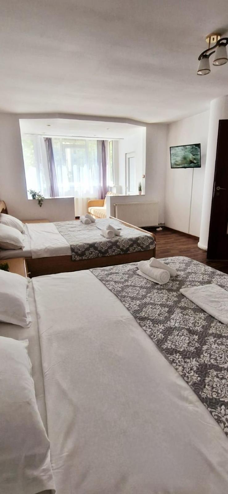 Stephanie Apartment-Centru Civic 브라쇼브 외부 사진
