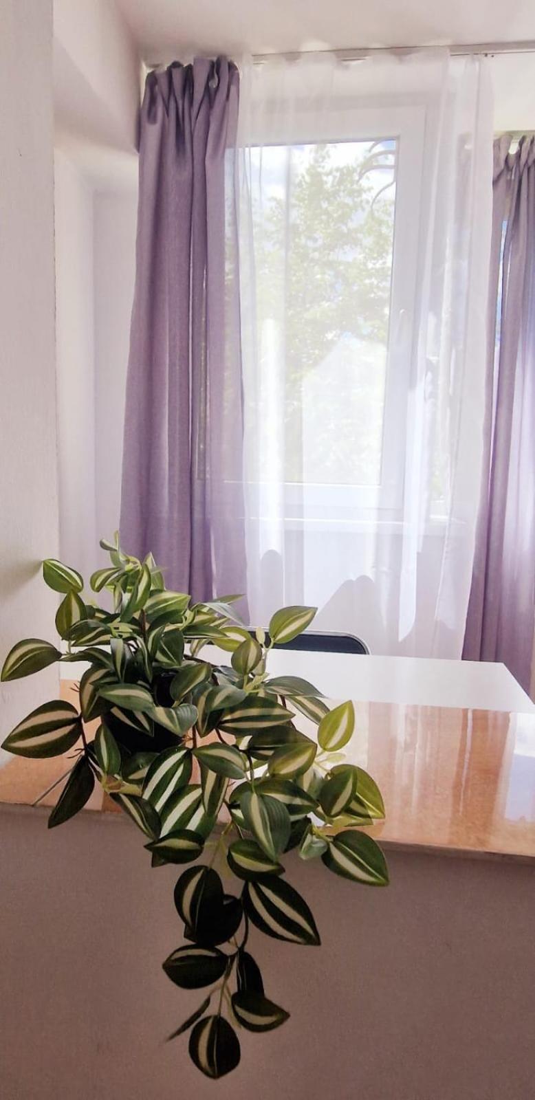 Stephanie Apartment-Centru Civic 브라쇼브 외부 사진