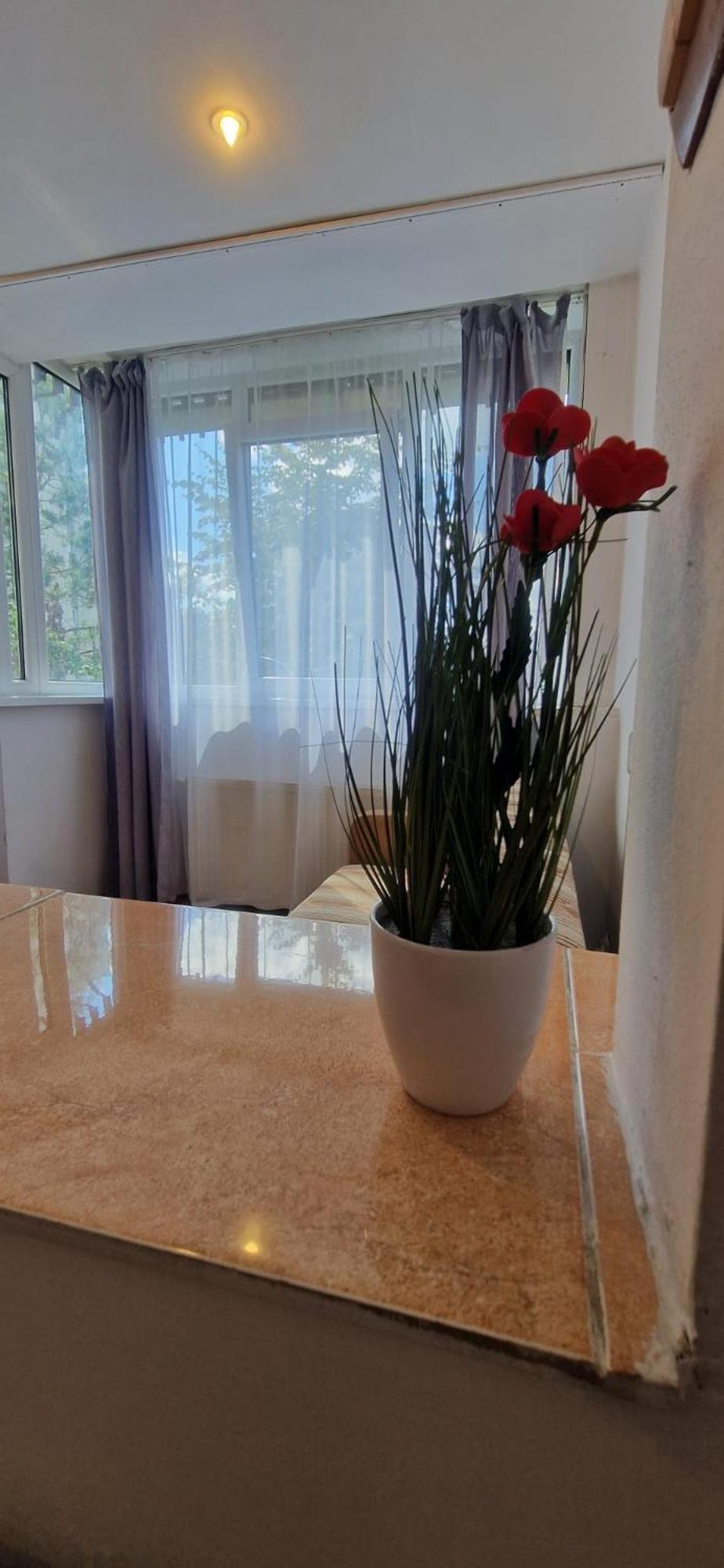 Stephanie Apartment-Centru Civic 브라쇼브 외부 사진
