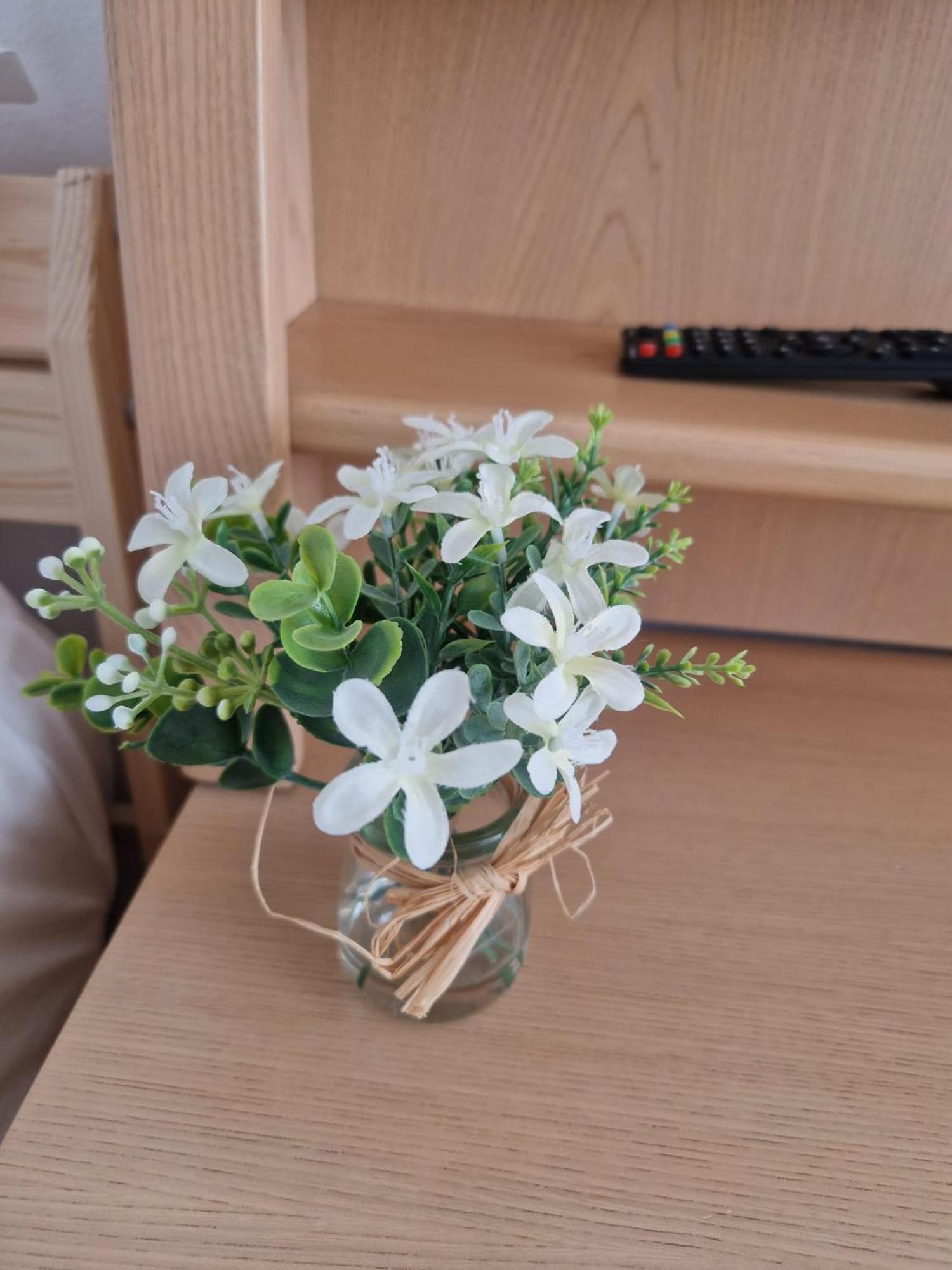 Stephanie Apartment-Centru Civic 브라쇼브 외부 사진